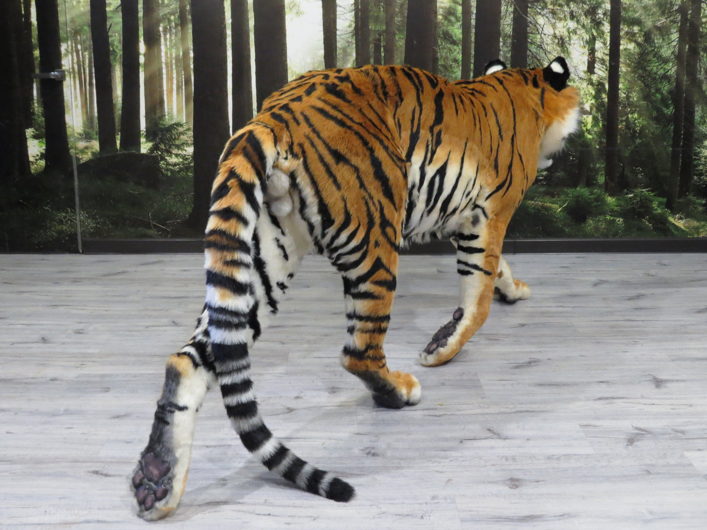 Replica Taxidermy Tiger Standing mount Stuffed African Life Size
