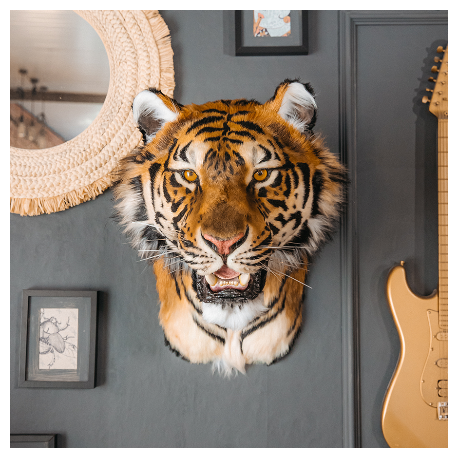 Replica Taxidermy Tiger Head Wall mount Realistic Life size