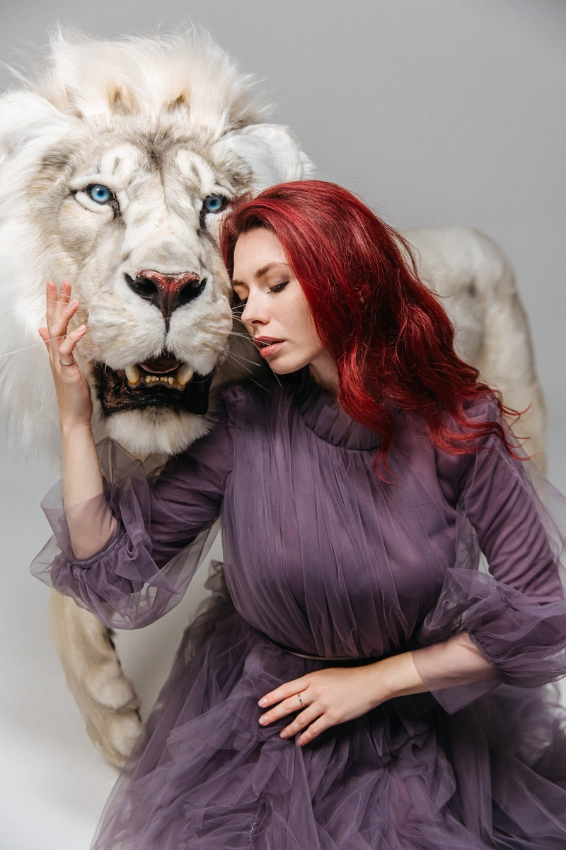 Replica Taxidermy White Lion Life size Standing mount