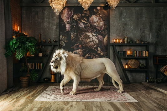 Replica Taxidermy White Lion Life size Standing mount