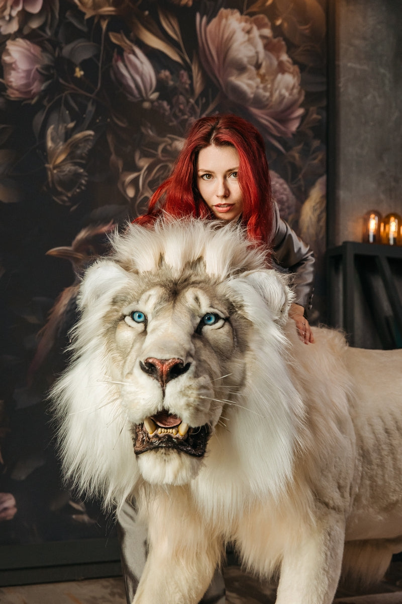 Replica Taxidermy White Lion Life size Standing mount