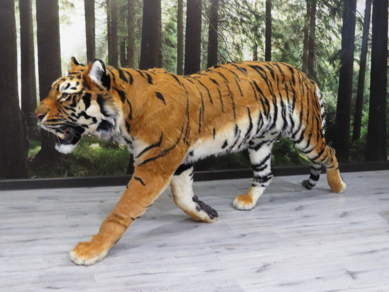Replica Taxidermy Tiger Standing mount Stuffed African Life Size