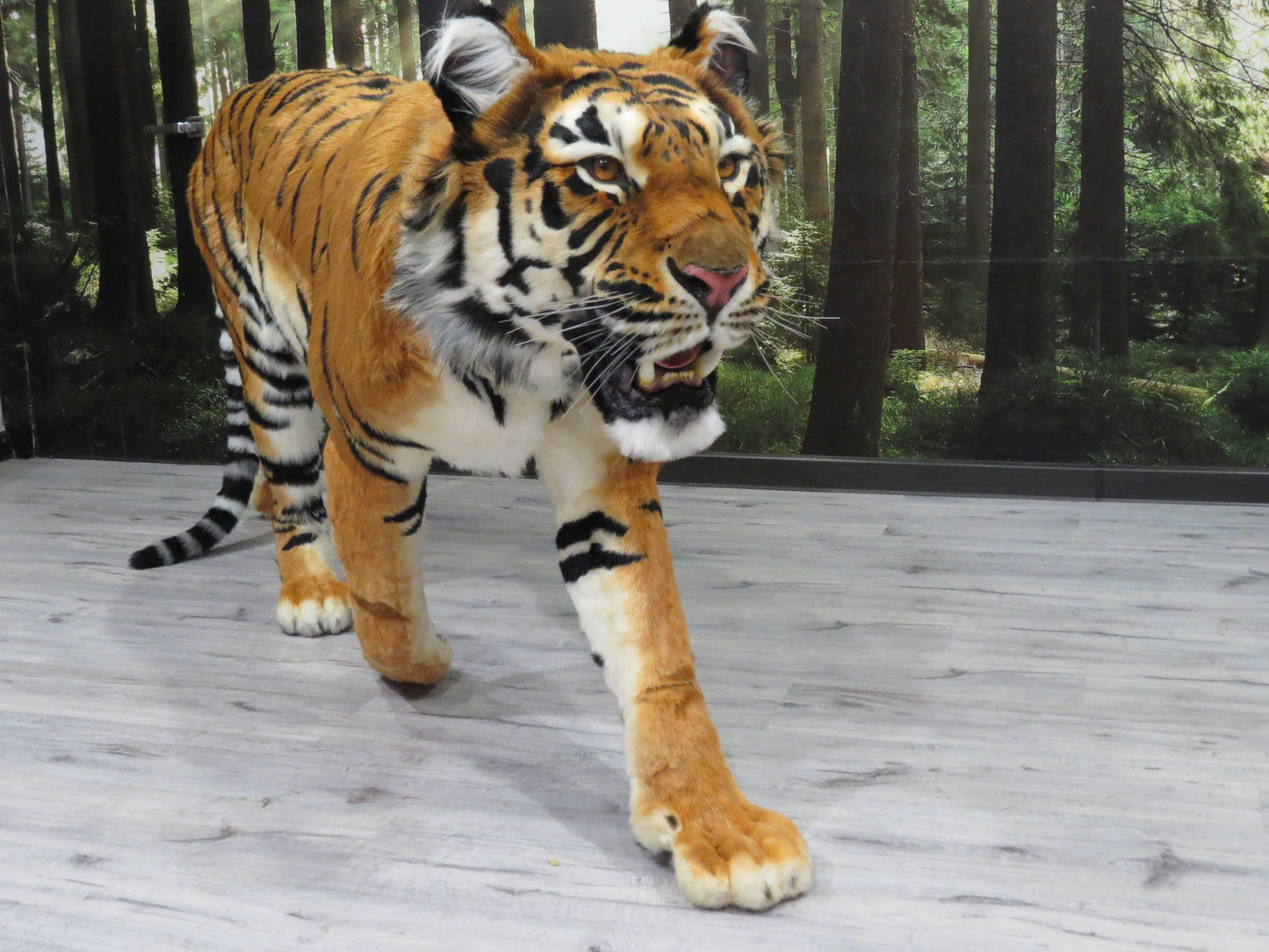 Replica Taxidermy Tiger Standing mount Stuffed African Life Size