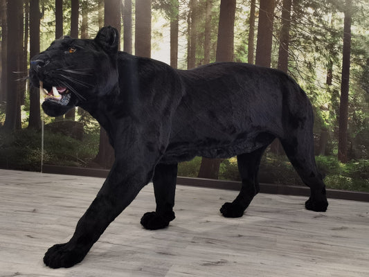 Replica Taxidermy Black Panther Standing mount Full body Stuffed African