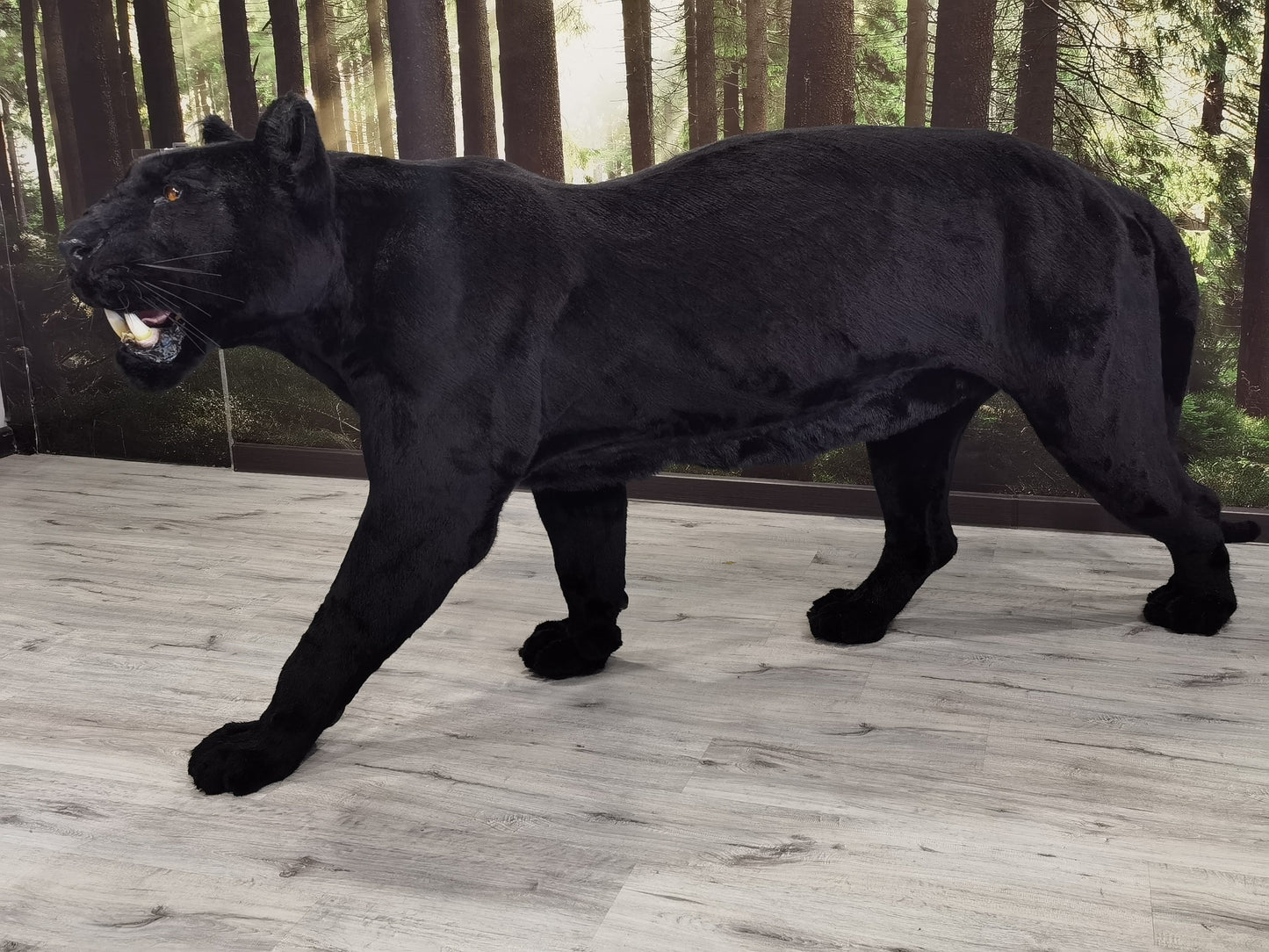 Replica Taxidermy Black Panther Standing mount Full body Stuffed African