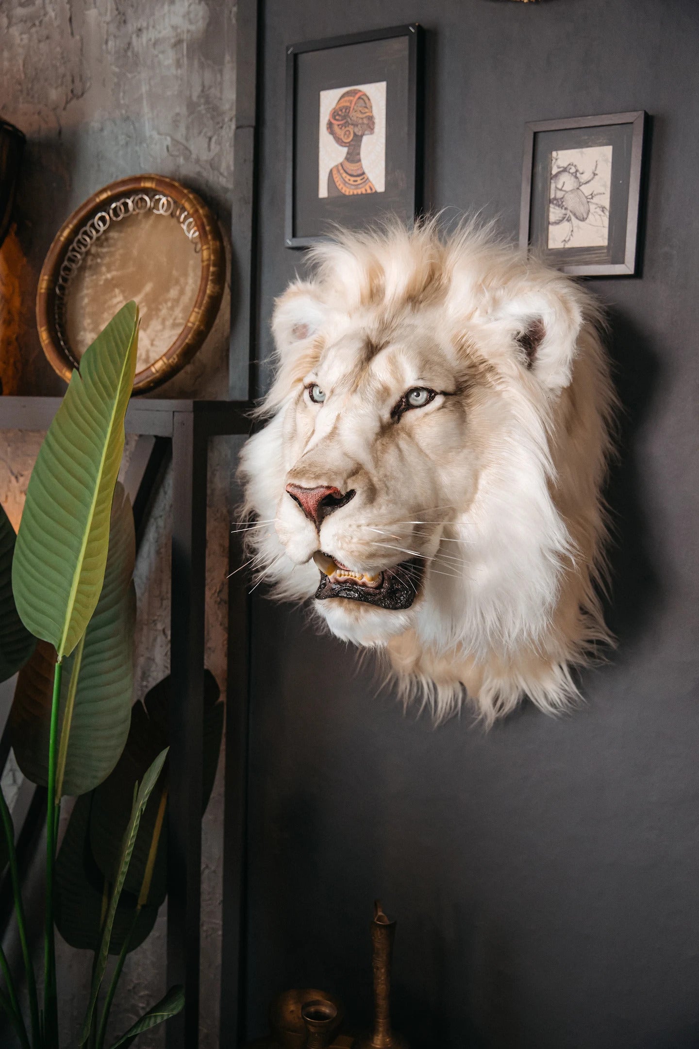 Replica Taxidermy Lion Shoulder Head Wall mount
