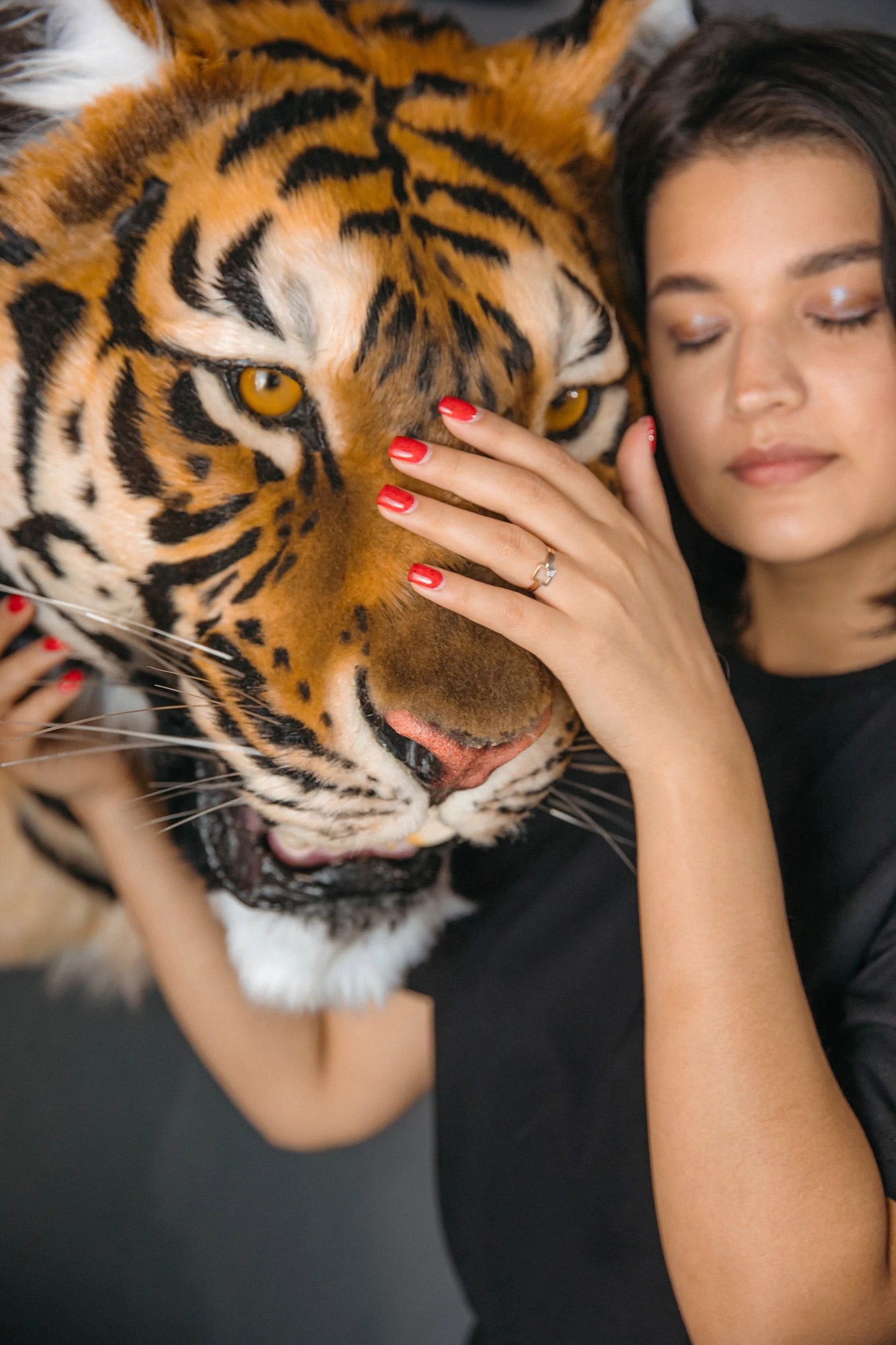 Replica Taxidermy Tiger Head Wall mount Realistic Life size