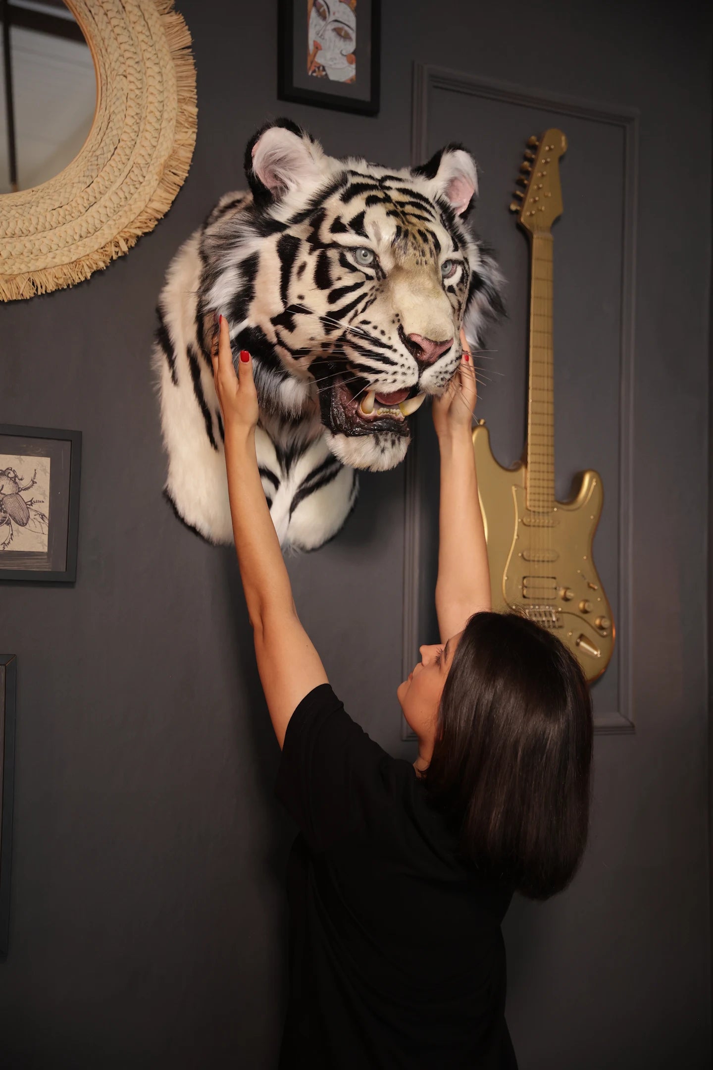 Replica Taxidermy White Tiger Head Wall mount Realistic Life size